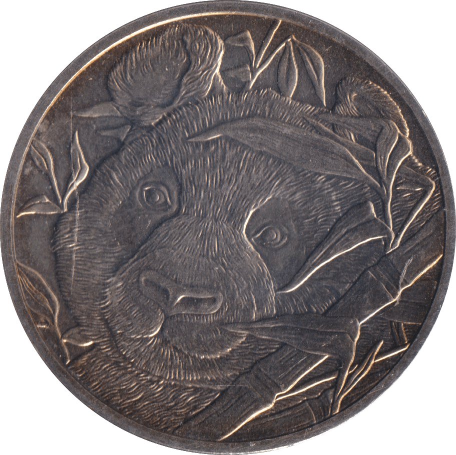 2009 WWF MEDALLION PANDA - MEDALS & MEDALLIONS - Cambridgeshire Coins