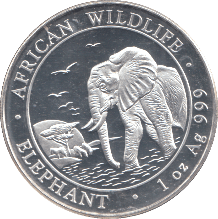 2010 SILVER PROOF SOMALI 100 SHILLINGS 1oz FINE SILVER - Silver Proof - Cambridgeshire Coins