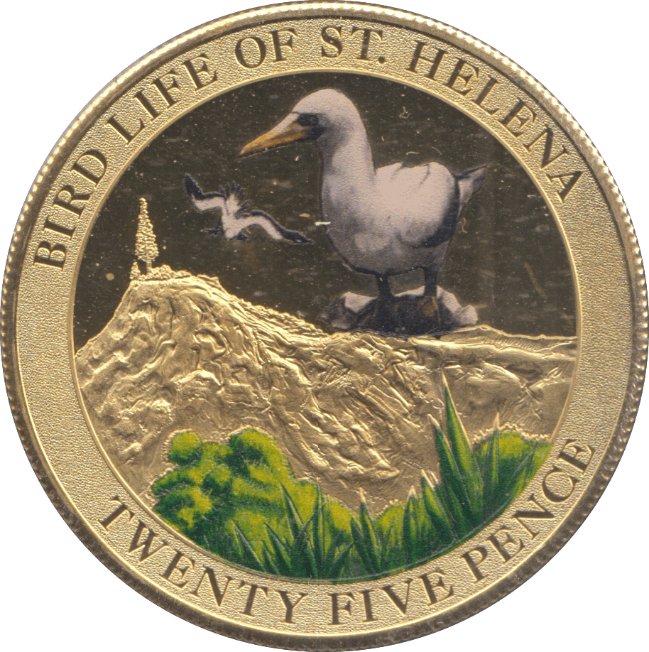 2013 25 PENCE BIRD LIFE OF ST HELENA - WORLD COINS - Cambridgeshire Coins