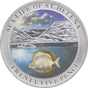 2013 25 PENCE SEA LIFE OF ST HELENA ( P ) - WORLD COINS - Cambridgeshire Coins