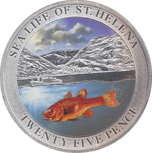 2013 25 PENCE SEA LIFE OF ST HELENA ( P ) - WORLD COINS - Cambridgeshire Coins