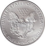 2013 SILVER LIBERTY DOLLAR USA - SILVER WORLD COINS - Cambridgeshire Coins