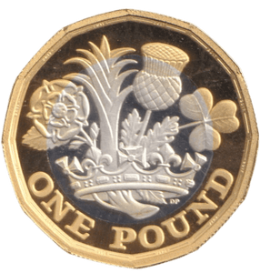 2017 ONE POUND SILVER ( PROOF ) - £1 Proof - Cambridgeshire Coins