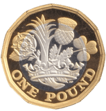 2017 ONE POUND SILVER ( PROOF ) - £1 Proof - Cambridgeshire Coins