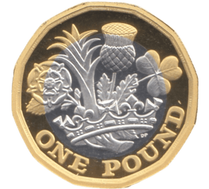 2017 SILVER PROOF £1 - £1 Silver Proof - Cambridgeshire Coins