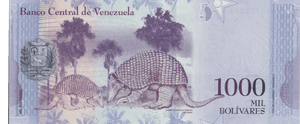 2017 VENEZUELA 1000 BOLIVARES BANKNOTE REF-1721 - WORLD BANKNOTES - Cambridgeshire Coins