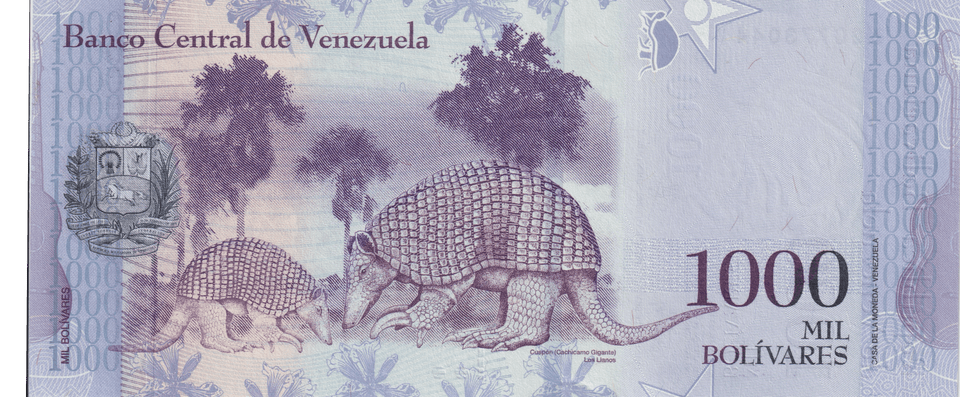 2017 VENEZUELA 1000 BOLIVARES BANKNOTE REF-1721 - WORLD BANKNOTES - Cambridgeshire Coins