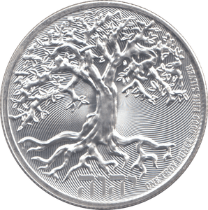 2019 SILVER NIUE 2 DOLLARS ( BU ) - SILVER WORLD COINS - Cambridgeshire Coins