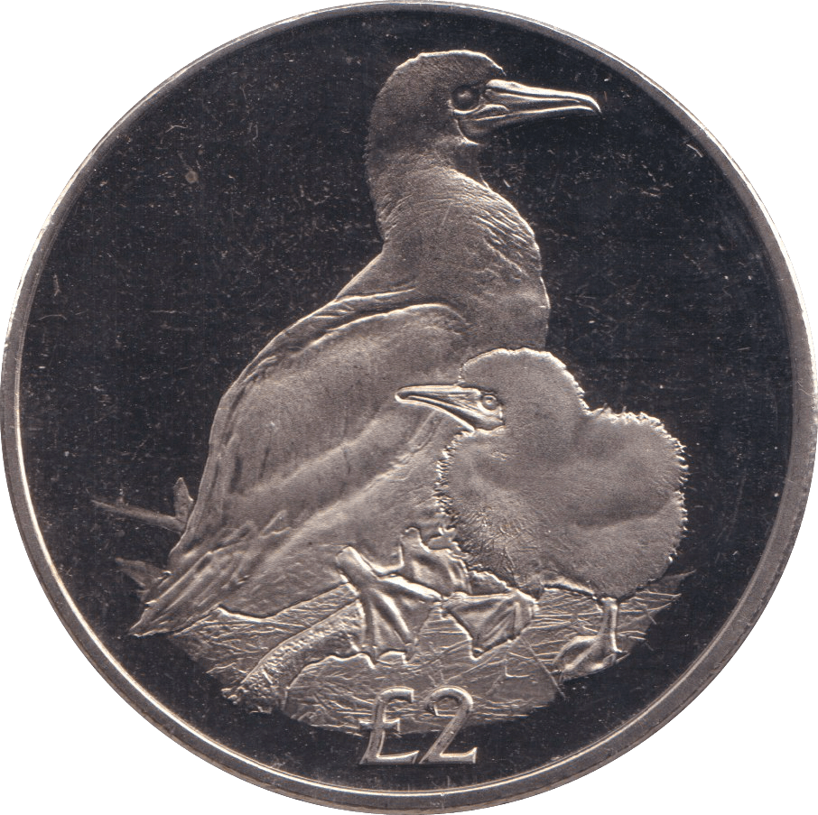 2019 TWO POUNDS RED - FOOTED BOOBY BRITISH INDIAN OCEAN TERRITORY - WORLD COINS - Cambridgeshire Coins