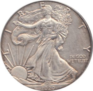 2020 1 OZ FINE SILVER 1 DOLLAR USA - SILVER WORLD COINS - Cambridgeshire Coins