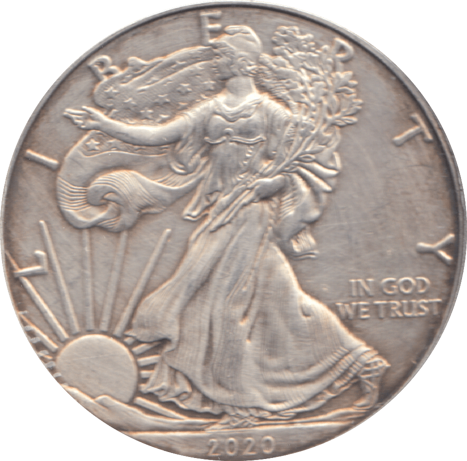 2020 1 OZ FINE SILVER 1 DOLLAR USA - SILVER WORLD COINS - Cambridgeshire Coins