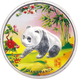 2021 SILVER PROOF 1OZ PANDA COLOURED COIN CHINA - SILVER WORLD COINS - Cambridgeshire Coins