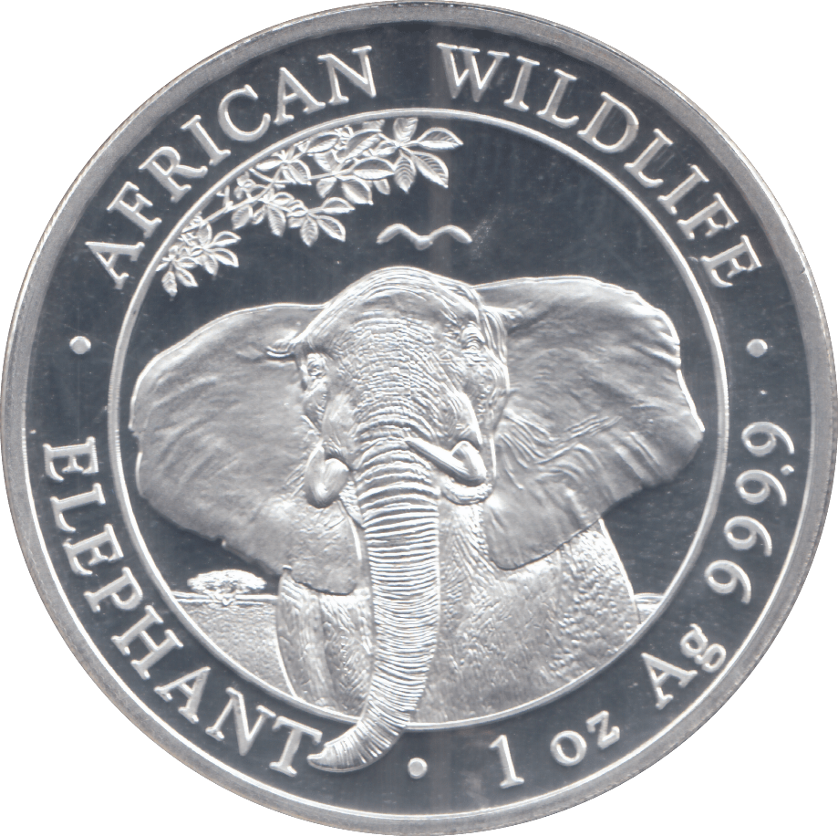 2021 SILVER SOMALIA 100 SHILLINGS ( BU ) - SILVER WORLD COINS - Cambridgeshire Coins