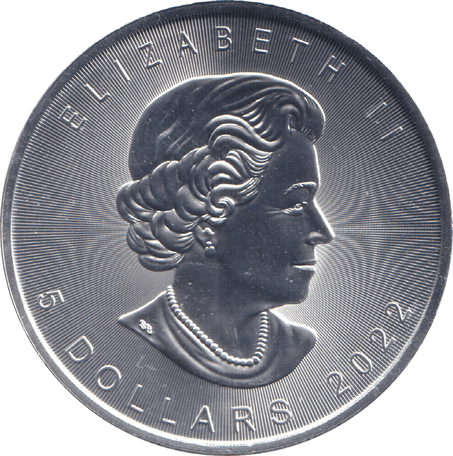 2022 SILVER 1OZ 5 DOLLAR CANADA - SILVER WORLD COINS - Cambridgeshire Coins