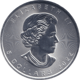 2022 SILVER 1OZ 5 DOLLAR CANADA - SILVER WORLD COINS - Cambridgeshire Coins