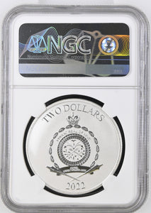 2022 SILVER $2 STAR WARS MANDALORIAN GROGU MS 67 - NGC SILVER COINS - Cambridgeshire Coins