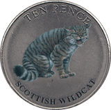 2022 TEN PENCE WILDLIFE COLLECTION SCOTTISH WILDCAT - WORLD COINS - Cambridgeshire Coins