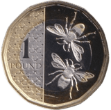 2023 ONE POUND PROOF KING CHARLES - £1 Proof - Cambridgeshire Coins