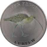 2023 TEN PENCE BAILIWICK OF GUERNSEY CURLEW - WORLD COINS - Cambridgeshire Coins
