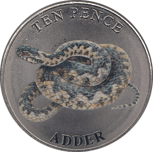 2023 TEN PENCE WILDLIFE COLLECTION ADDER - WORLD COINS - Cambridgeshire Coins