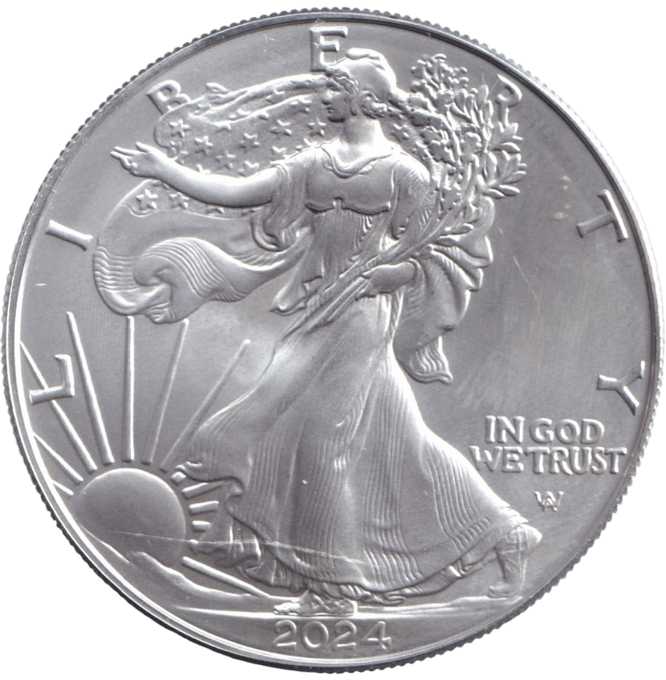 2024 AMERICAN EAGLE SILVER DOLLAR 1 OZ FINE SILVER USA - SILVER WORLD COINS - Cambridgeshire Coins