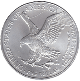 2024 AMERICAN EAGLE SILVER DOLLAR 1 OZ FINE SILVER USA - SILVER WORLD COINS - Cambridgeshire Coins