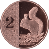 2024 TWO PENCE PROOF SQUIRELL KING CHARLES III - 2P PROOF - Cambridgeshire Coins