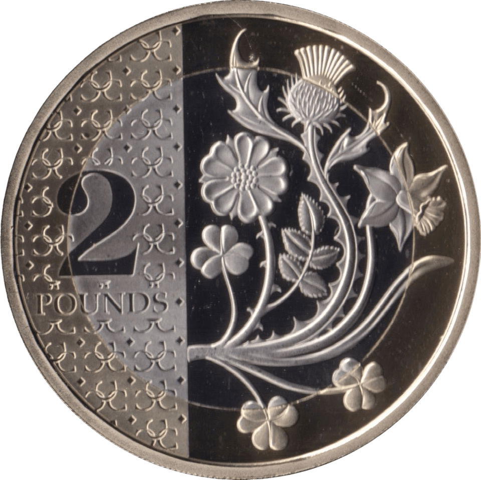 2024 TWO POUNDS PROOF FLOWERS KING CHARLES III - £2 Proof - Cambridgeshire Coins