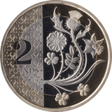 2024 TWO POUNDS PROOF FLOWERS KING CHARLES III - £2 Proof - Cambridgeshire Coins