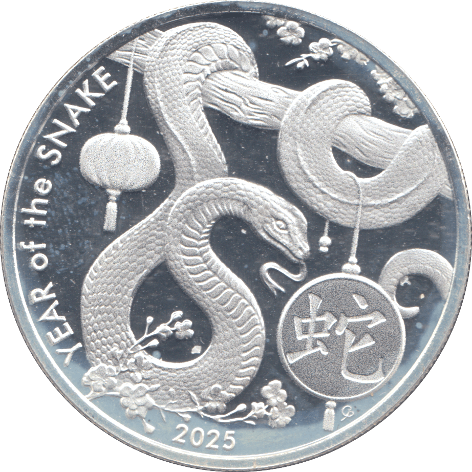 2025 1 OZ FINE SILVER YEAR OF THE SNAKE COMMEMORATIVE COIN - SILVER WORLD COINS - Cambridgeshire Coins