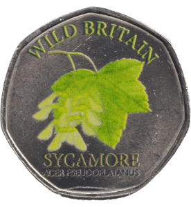2025 50P SHAPED COINS WILD BRITAIN SYCAMORE - 50P SHAPED COIN - Cambridgeshire Coins