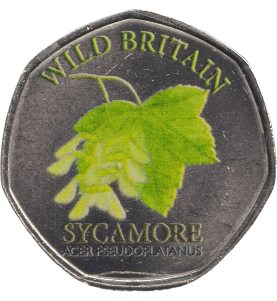 2025 50P SHAPED COINS WILD BRITAIN SYCAMORE - 50P SHAPED COIN - Cambridgeshire Coins