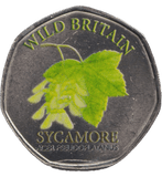 2025 50P SHAPED COINS WILD BRITAIN SYCAMORE - 50P SHAPED COIN - Cambridgeshire Coins