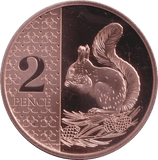 2026 TWO PENCE SQUIRREL PROOF KING CHARLES III - 2P PROOF - Cambridgeshire Coins