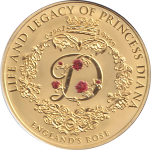 2000 LIFE AND LEGACY OF PRINCESS DIANA VOLUNTEER
