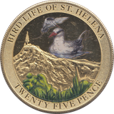 2013 25 PENCE BIRD LIFE OF ST HELENA