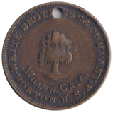1890 TOKEN BOSTON USA