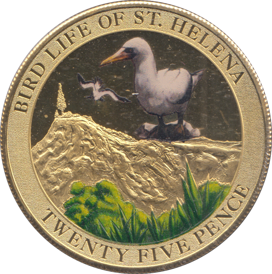 2013 25 PENCE BIRD LIFE OF ST HELENA