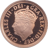2023 GOLD HALF SOVEREIGN ( PROOF )