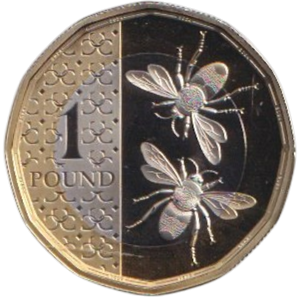 2024 ONE POUND PROOF BEES KING CHARLES III