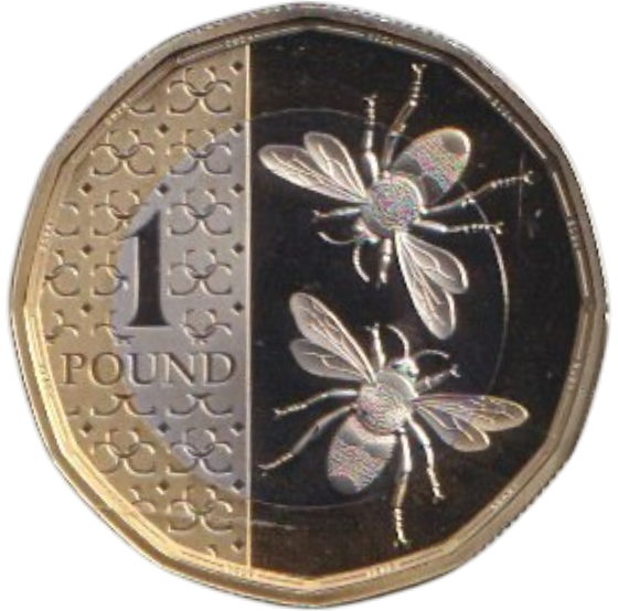 2024 ONE POUND PROOF BEES KING CHARLES III
