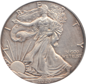 2020 1 OZ FINE SILVER 1 DOLLAR USA