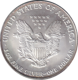 2007 SILVER DOLLAR USA