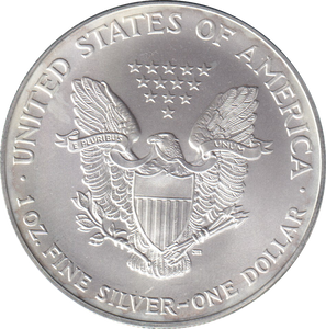 2001 SILVER DOLLAR USA