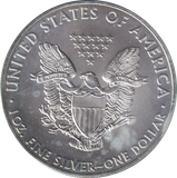 2011 SILVER DOLLAR USA