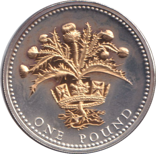 2008 SILVER PROOF GOLD PLATED £1