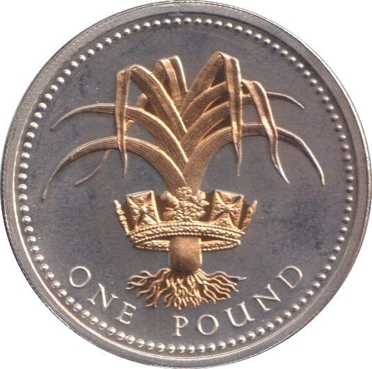 2008 SILVER PROOF GOLD PLATED £1