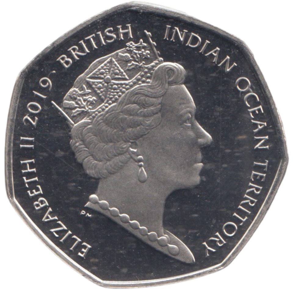 2019 50P COLOURED LOGGERHEAD TURTLE