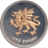 2008 SILVER PROOF GOLD PLATED £1