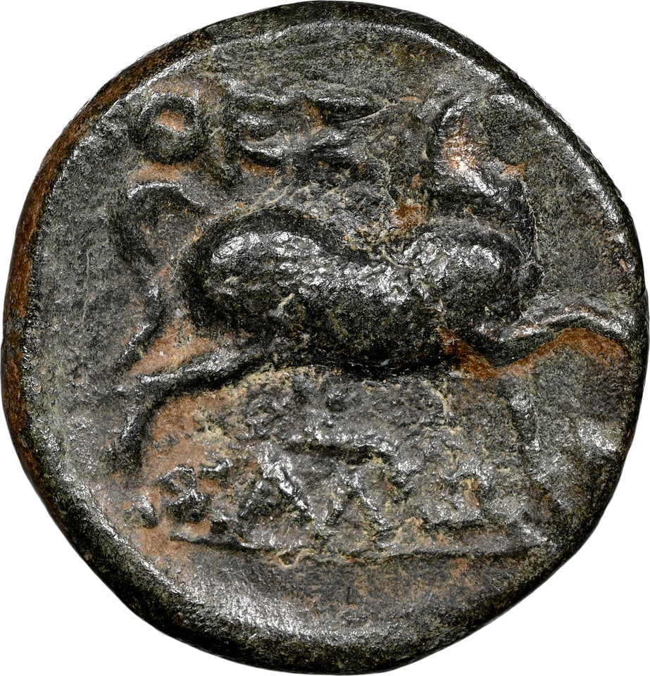 THESSALIAN LEAGUE 2ND - 1ST CENTURIES BC AE16 XF NGC ANCIENTS - NGC OTHER COINS - Cambridgeshire Coins